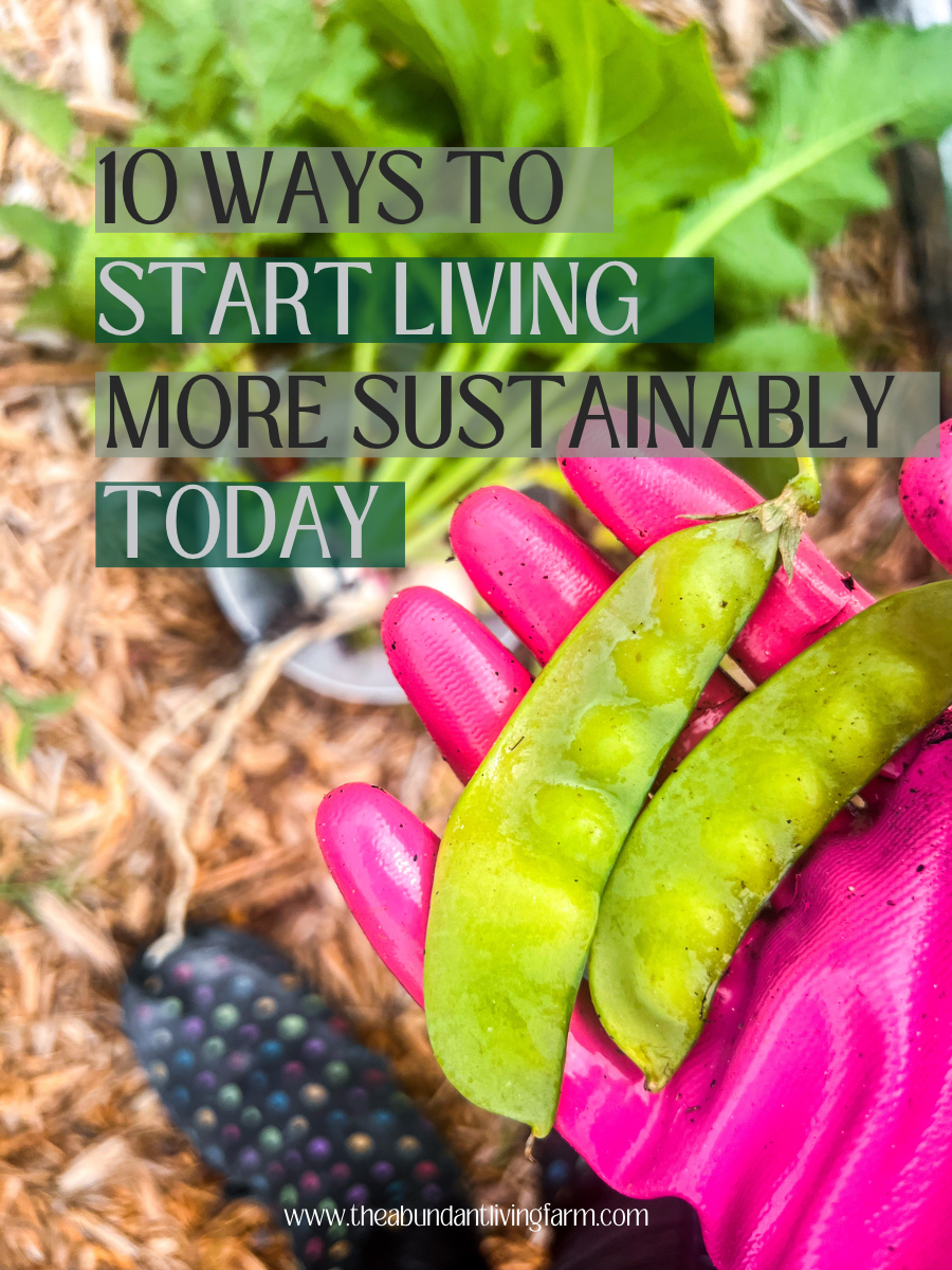 10 Ways to Start Living Sustainably Today | Sustainability - Living ...