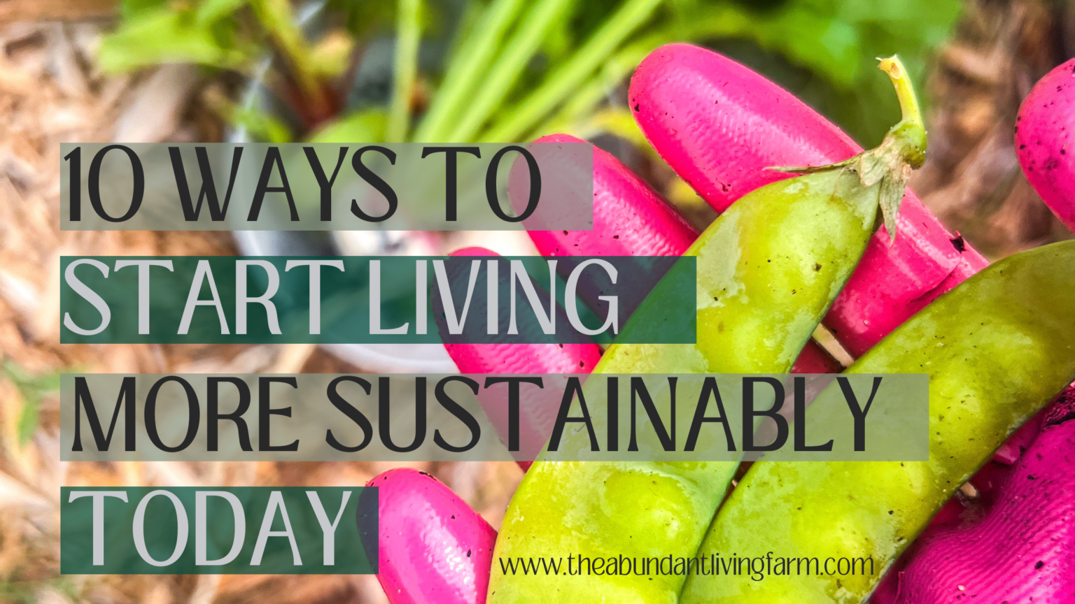 10 Ways to Start Living Sustainably Today | Sustainability - Living ...