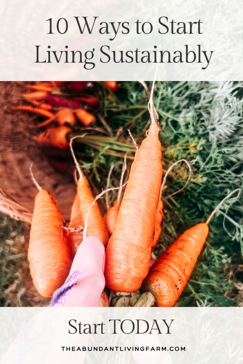 10 Ways to Start Living Sustainably Today | Sustainability - Living ...