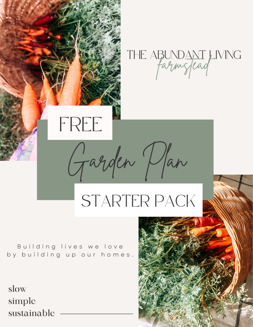4 Things You Need to Start Your Homestead and Homeschool This Summer ...