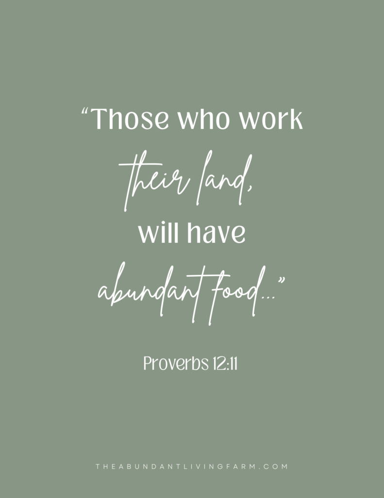"those who work their land, will have abundant food.." proverbs 12:11