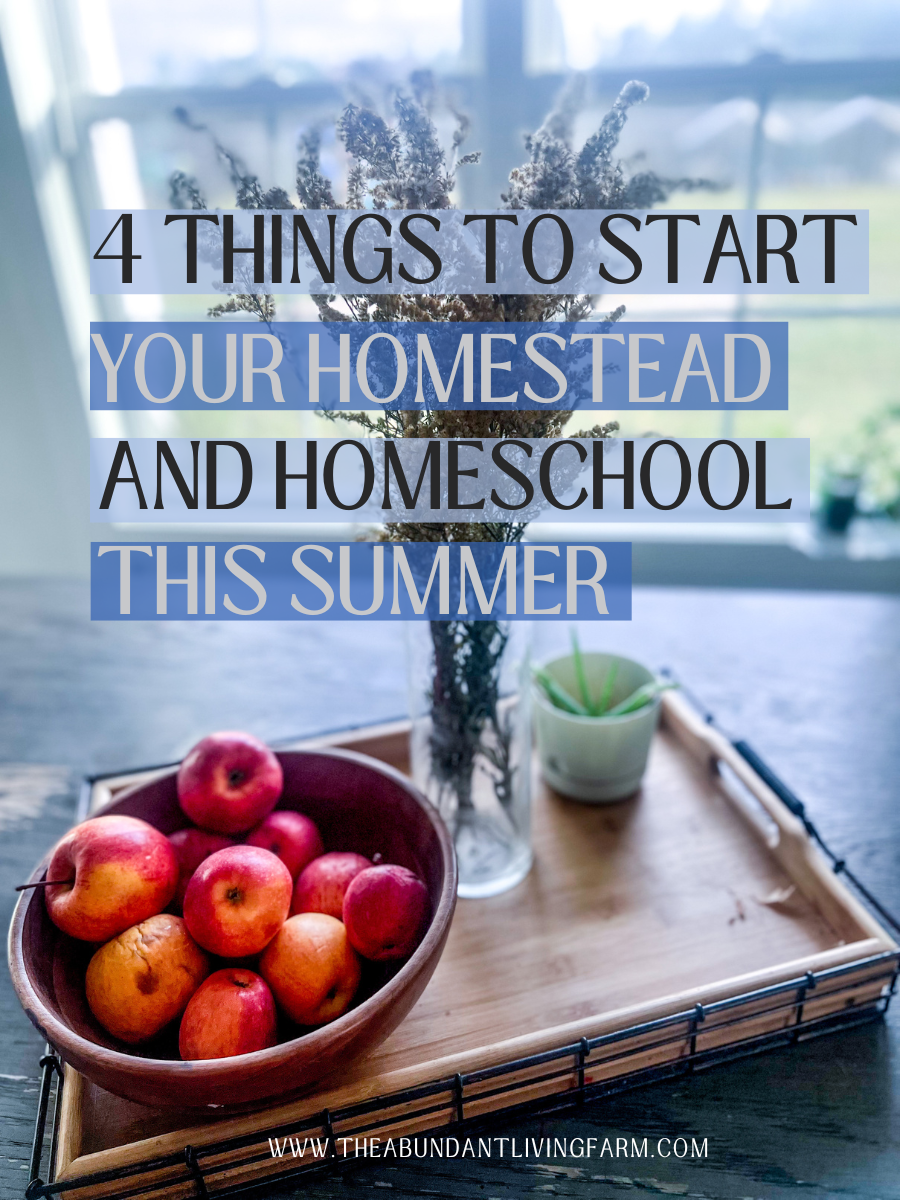 4 Things You Need to Start Your Homestead and Homeschool This Summer ...