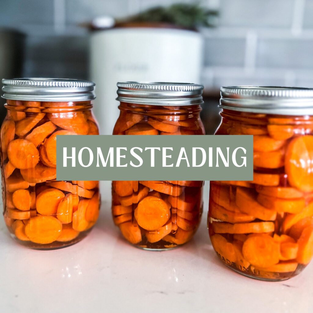 homesteading banner over 3 glass jars of canned carrots