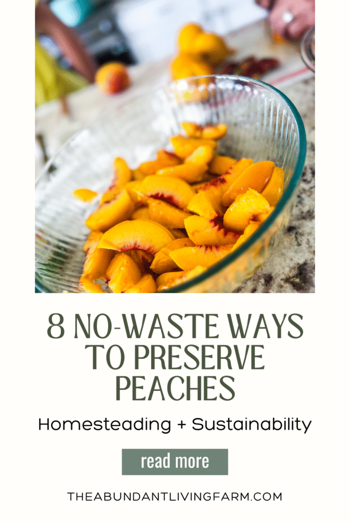 8 no-waste ways to preserve peaches homesteading and sustainability banner with a picture of a glass bowl full of peaches on a granite countertop