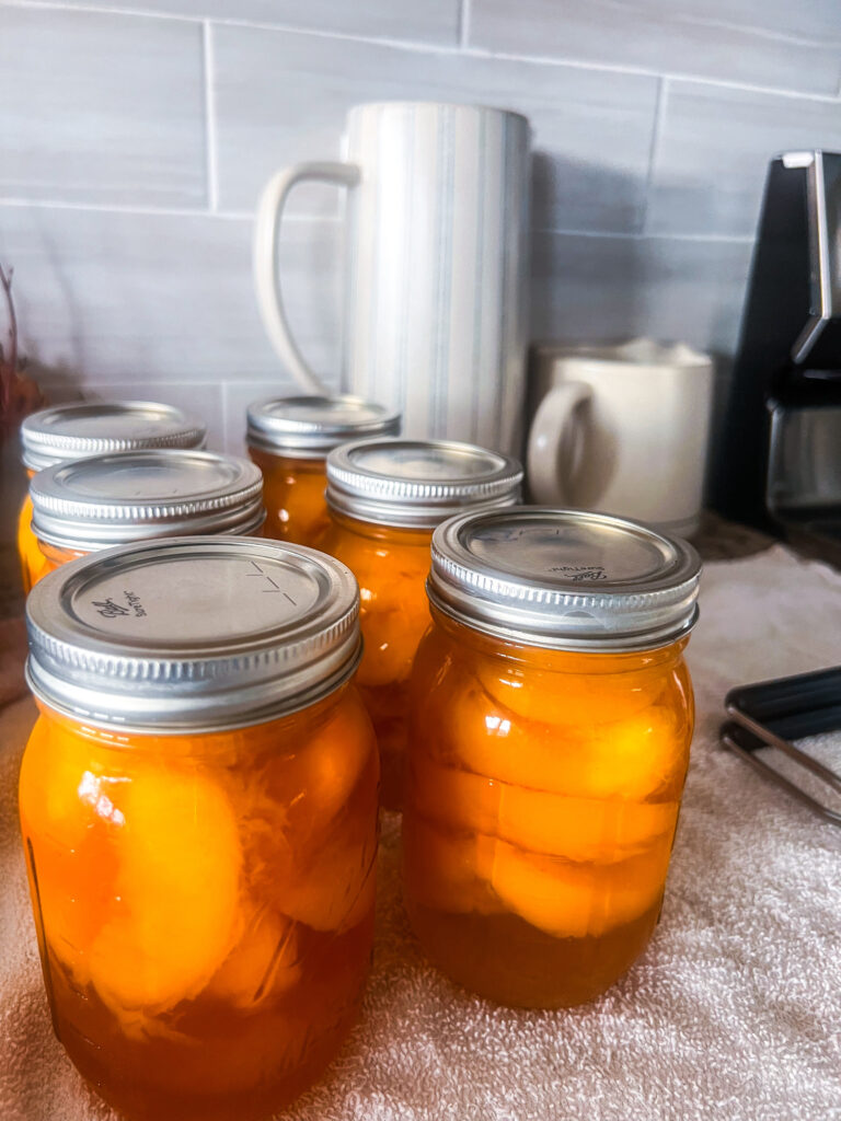 6 mason jars of home canned peaches