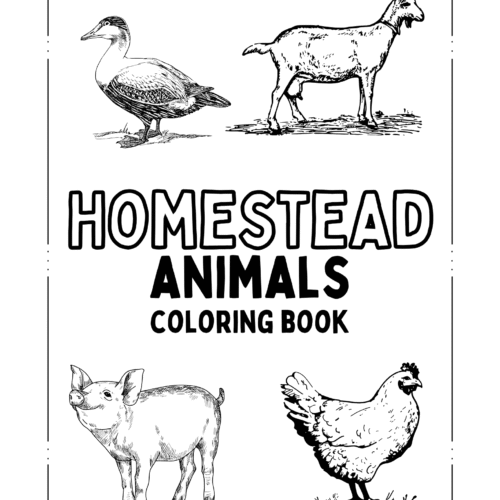homestead animals coloring book