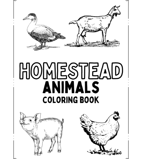 homestead animals coloring book