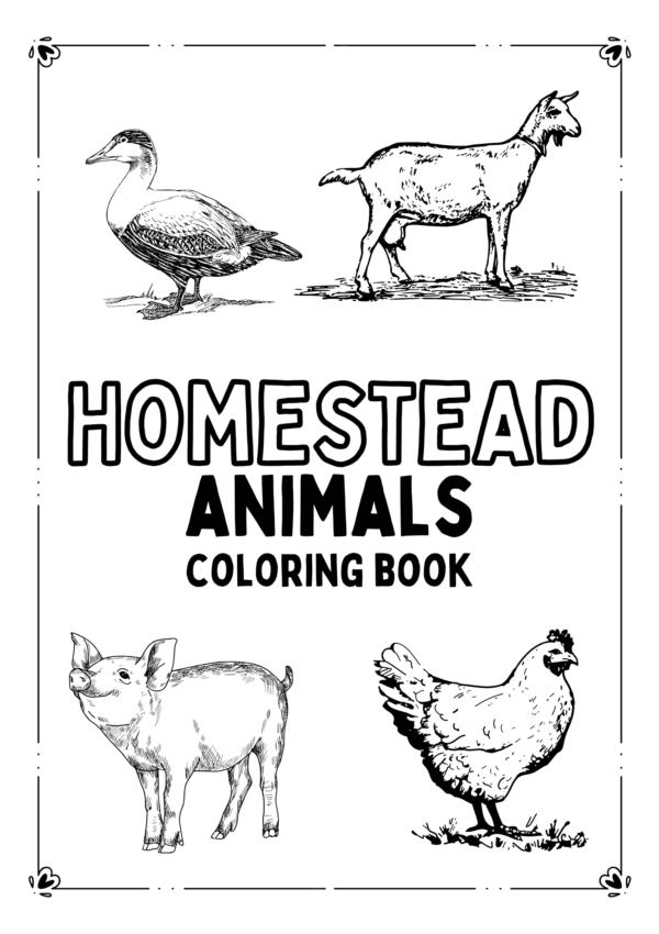 homestead animals coloring book