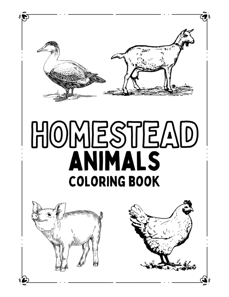 homestead animals coloring book