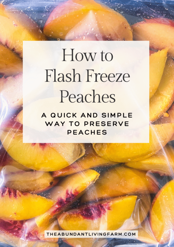 how to flash freeze peaches a quick and simple way to preserve peaches banner on top of a picture of frozen peaches in a freezer gallon bag