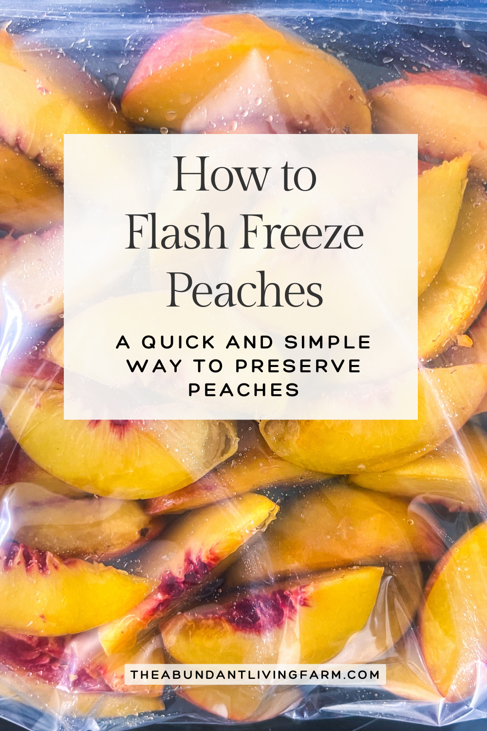 how to flash freeze peaches a quick and simple way to preserve peaches banner on top of a picture of frozen peaches in a freezer gallon bag