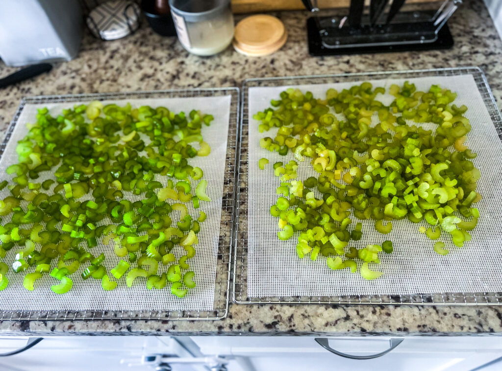 fresh cut celery into 1/8 inch slices spread out on two silicone dehydrator sheets on top of two dehydrator trays
