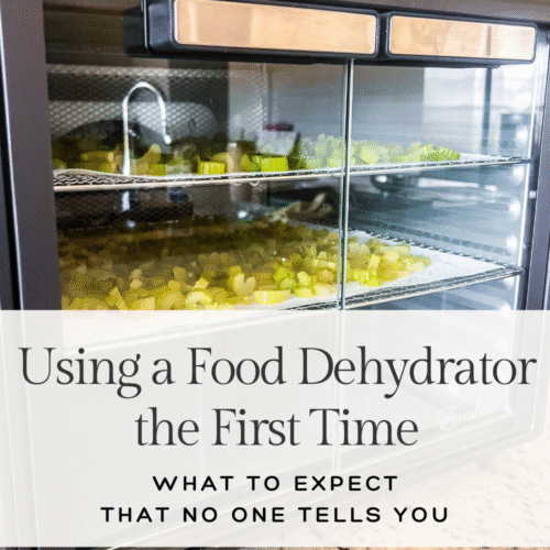 Using a food dehydrator the first time: what to expect that no one tells you banner over a picture of an Excalibur Dehydrator with double doors with two trays of celery inside; the dehydrator is on top of a granite countertop