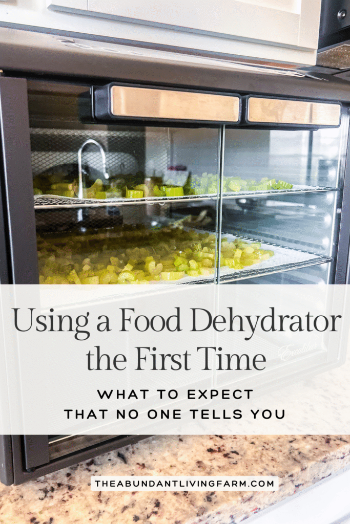 Using a food dehydrator the first time: what to expect that no one tells you banner over a picture of an Excalibur Dehydrator with double doors with two trays of celery inside; the dehydrator is on top of a granite countertop