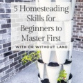 5 Homesteading Skills for Beginners to Master First on a photo of a vertical planter with seeds and seedlings in it on a cement patio