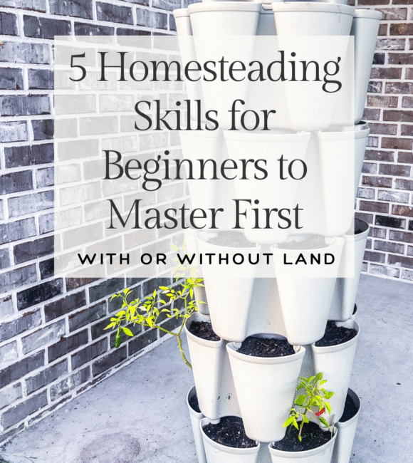 5 Homesteading Skills for Beginners to Master First on a photo of a vertical planter with seeds and seedlings in it on a cement patio