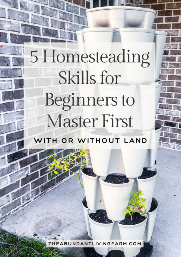 5 Homesteading Skills for Beginners to Master First on a photo of a vertical planter with seeds and seedlings in it on a cement patio