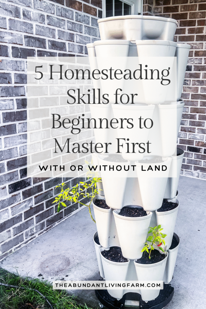 5 Homesteading Skills for Beginners to Master First on a photo of a vertical planter with seeds and seedlings in it on a cement patio 