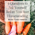 4 questions to ask yourself before you start homesteading banner with a read this first on top of a picture of a gloved hand holding homegrown carrots with a background of a woven basket with rainbow carrots