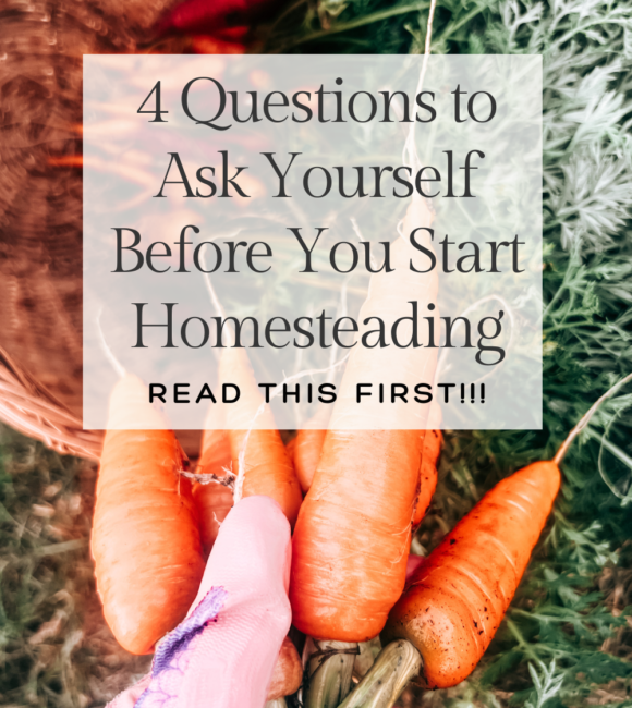 4 questions to ask yourself before you start homesteading banner with a read this first on top of a picture of a gloved hand holding homegrown carrots with a background of a woven basket with rainbow carrots