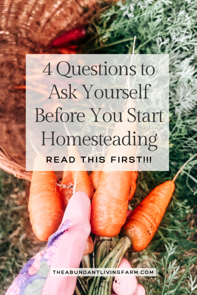 4 questions to ask yourself before you start homesteading banner with a read this first on top of a picture of a gloved hand holding homegrown carrots with a background of a woven basket with rainbow carrots 