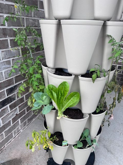 vertical planter on a patio filled with vegetable and herb plants