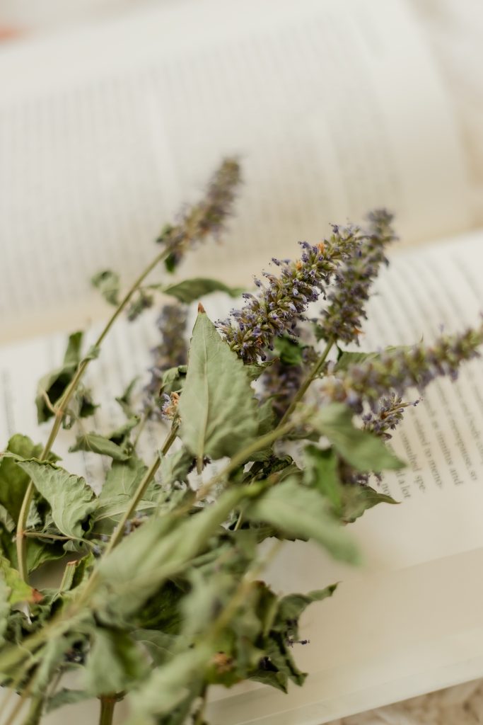 lavender flowers on top of an open book